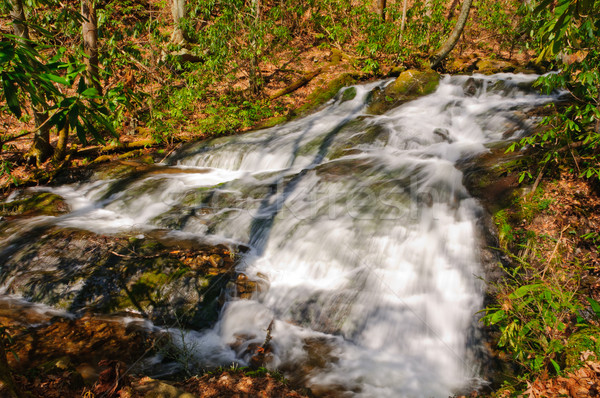 Wilderness falls in morning light Stock photo © wildnerdpix