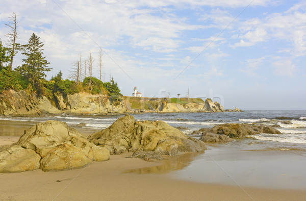 Lighthouse on a Rugged Coastal Beach Stock photo © wildnerdpix