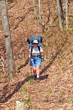 Backpacker in the Cataloochee Valley Stock photo © wildnerdpix