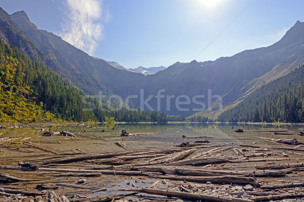 An Alpine Lake in Morning Light Stock photo © wildnerdpix