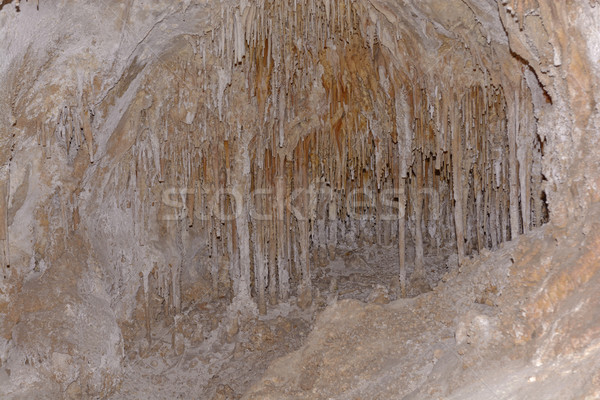 Stalactites and Columns in a Cavern Stock photo © wildnerdpix