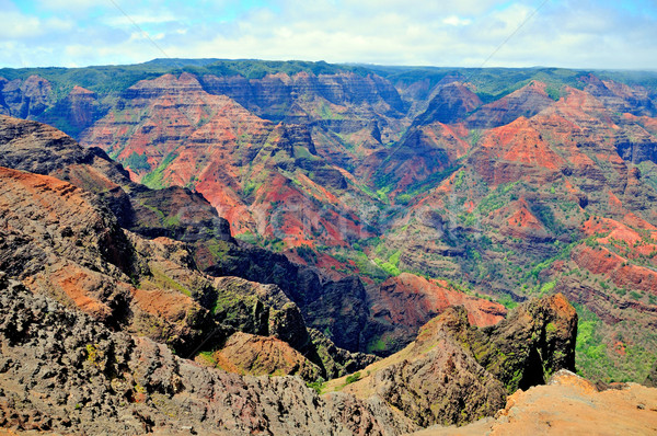Farben Natur Hawaii farbenreich Canyon Insel Stock foto © wildnerdpix