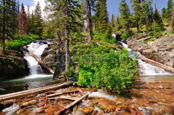 Double Cascades in the Americna Wesy Stock photo © wildnerdpix