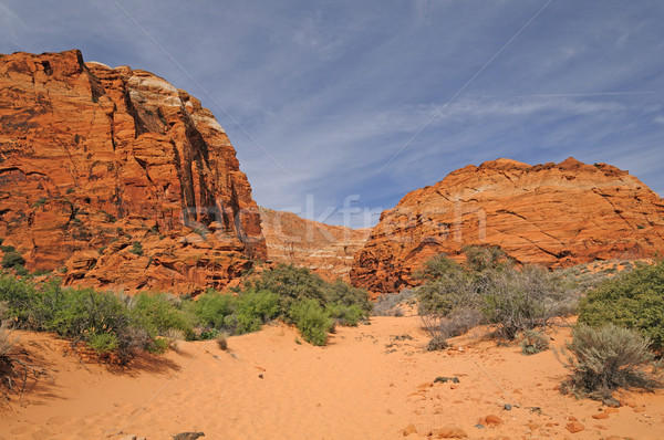 Sandy Trail into a Desert Canyon Stock photo © wildnerdpix