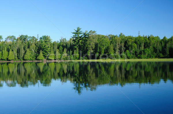 Reflections in the Wilderness Stock photo © wildnerdpix
