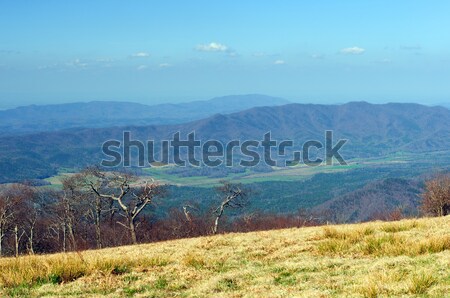 A mountain valley from above Stock photo © wildnerdpix