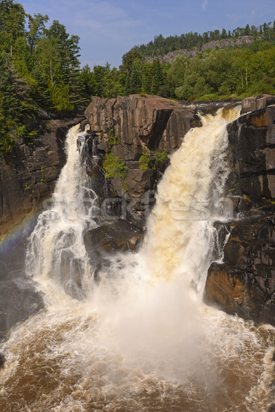 Espectacular alto paloma río ontario Foto stock © wildnerdpix