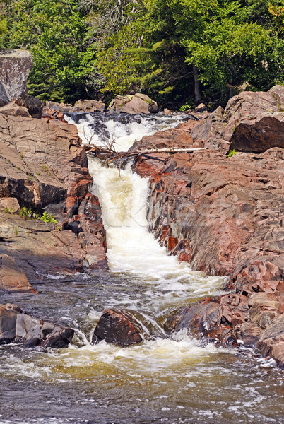 Water Chute on a Wilderness River Stock photo © wildnerdpix