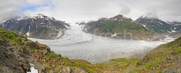 Alpine Glacier Panorama Stock photo © wildnerdpix