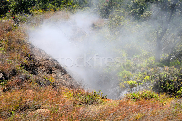 Dampf Kilauea Vulkan Kloake tropischen Vulkan natürlichen Stock foto © wildnerdpix