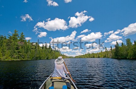 Heading into the Wilderness Stock photo © wildnerdpix