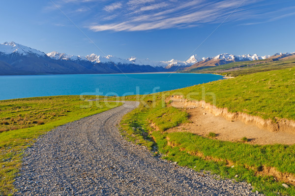 Carretera líder meridional alpes Nueva Zelandia Foto stock © wildnerdpix