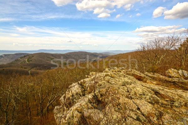 Espectacular oriental montanas parque Virginia naturaleza Foto stock © wildnerdpix