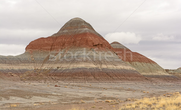 Eroded Butte in the Desert Stock photo © wildnerdpix