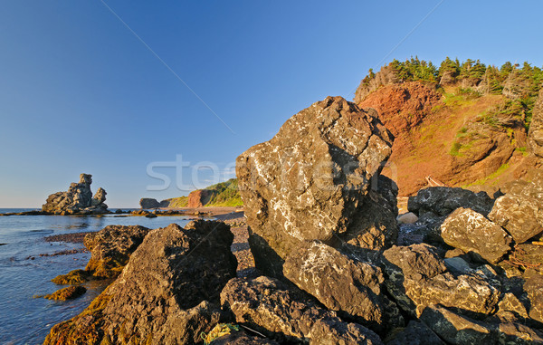 Skały wulkaniczne plaży poduszkę lawa wybrzeża Zdjęcia stock © wildnerdpix