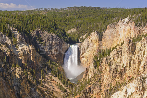 Powerful Waterfall in the Wilderness Stock photo © wildnerdpix