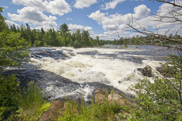 Groß Wasser Wildnis Kaskade bald rock Stock foto © wildnerdpix