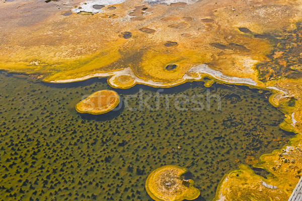 Dramatic Colors in a Thermal Pool Stock photo © wildnerdpix