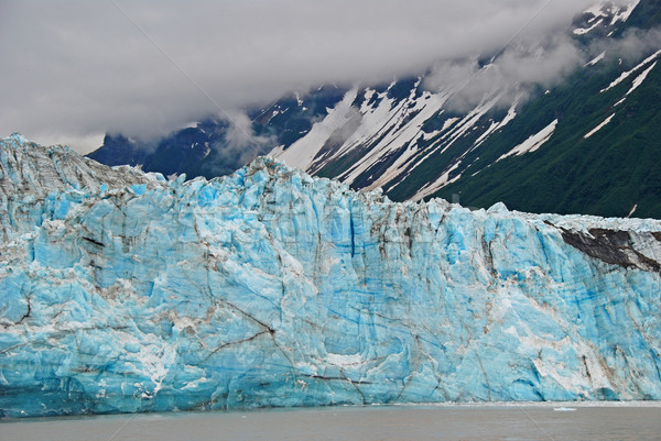 Blue ice in the mountains Stock photo © wildnerdpix