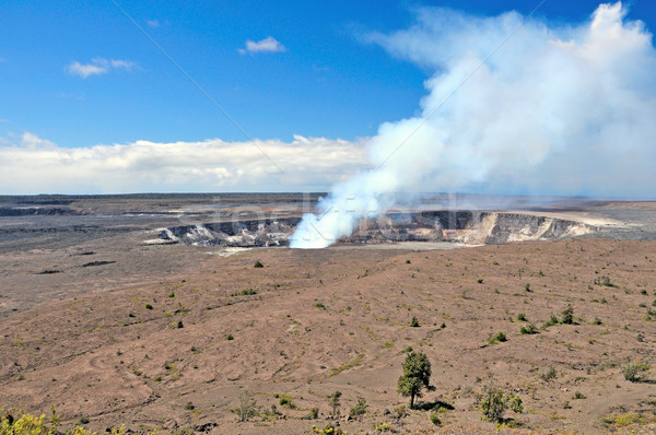 Dampf Krater tätig Kloake groß Insel Stock foto © wildnerdpix
