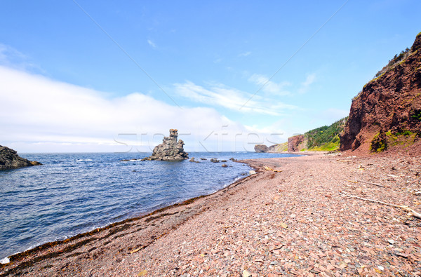 Distinctive Rocks on a Remote Coastline Stock photo © wildnerdpix