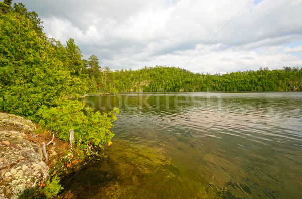 Evening Light on a Wilderness Lake Stock photo © wildnerdpix