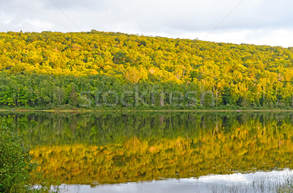 Fall Colors at Sunset on a Wilderness Lake Stock photo © wildnerdpix