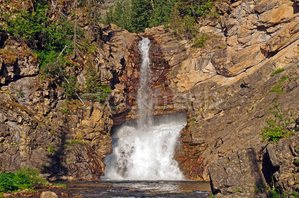 Waterfall in the American West Stock photo © wildnerdpix