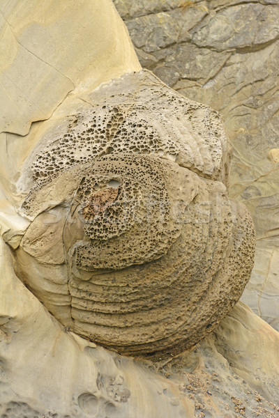 Foto stock: Insólito · formación · de · roca · océano · costa · Oregón · naturaleza