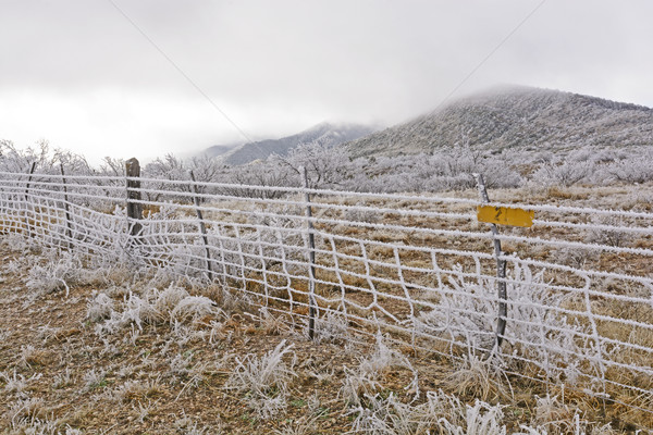 [[stock_photo]]: Texas · ranch · glace · tempête · alpine · paysage