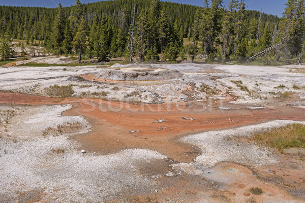 Geysir Kegel Park Wyoming Natur Landschaft Stock foto © wildnerdpix