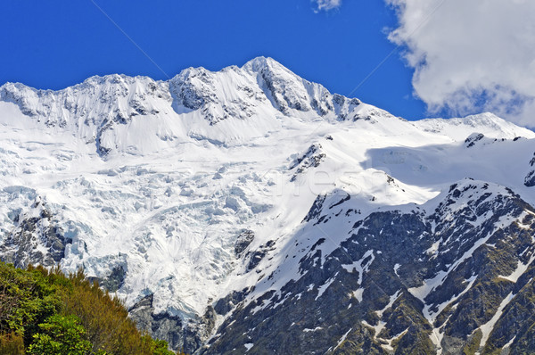 Snow Capped Mountains in the Southern Alps Stock photo © wildnerdpix