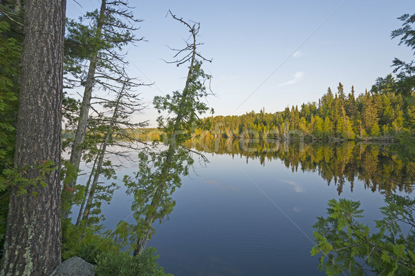 Twilight on a North Woods Lake Stock photo © wildnerdpix