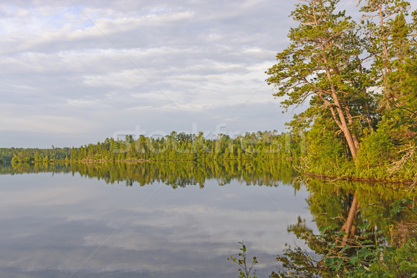 Early Morning Calm in Canoe Country Stock photo © wildnerdpix