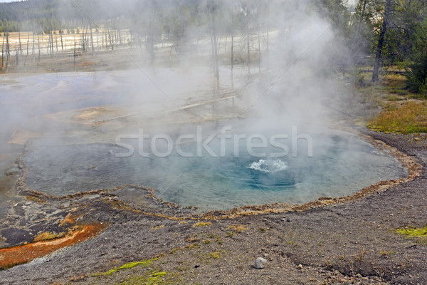 Nebel Dampf Frühling Natur Landschaft Stock foto © wildnerdpix