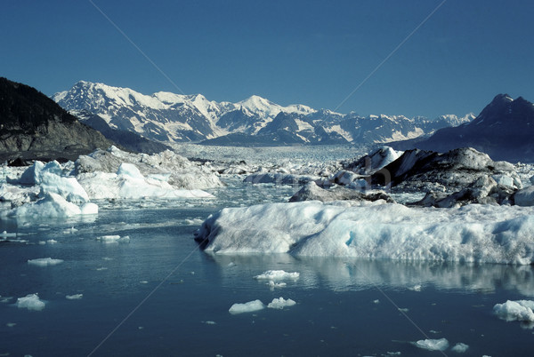 Mountains and ice on the ocean Stock photo © wildnerdpix