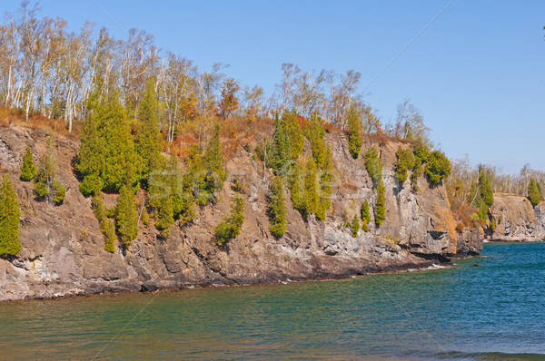 Pines Growing on Rocky Cliff along the Great Lakes Stock photo © wildnerdpix