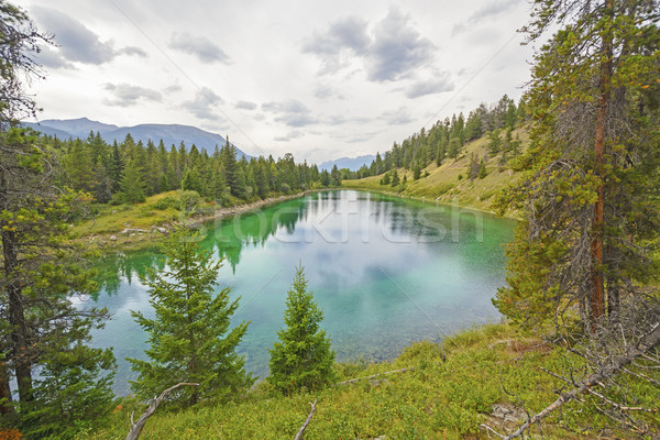 Quiet Mountain Pond in the Wilderness Stock photo © wildnerdpix