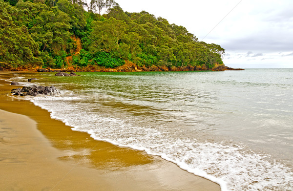 Stockfoto: Afstandsbediening · strand · bewolkt · dag · New · Zealand · landschap