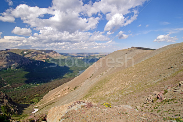 Views along a mountain trail Stock photo © wildnerdpix