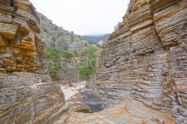 Details in a Colorful Desert Canyon Stock photo © wildnerdpix