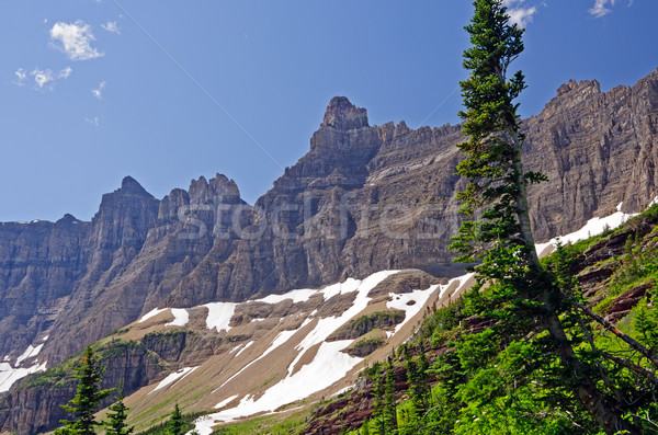 Crags of Iceberg Ridge Stock photo © wildnerdpix