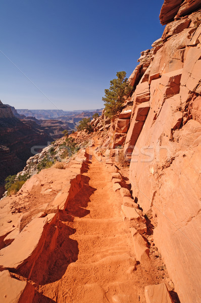 Trail into a desert Canyon Stock photo © wildnerdpix