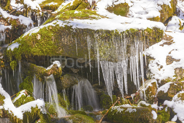 Glace eau printemps neige smoky montagnes [[stock_photo]] © wildnerdpix