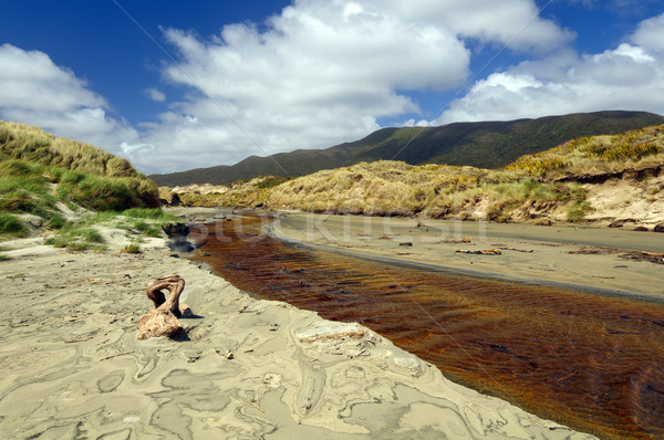 Coastal Stream through a sandy beach Stock photo © wildnerdpix