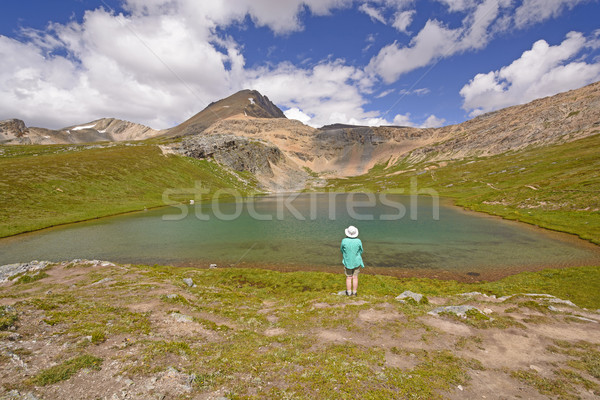 Hiker Enjoying an Alpine View Stock photo © wildnerdpix
