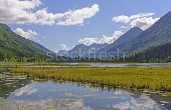 Wetland Lake in the Mountains Stock photo © wildnerdpix