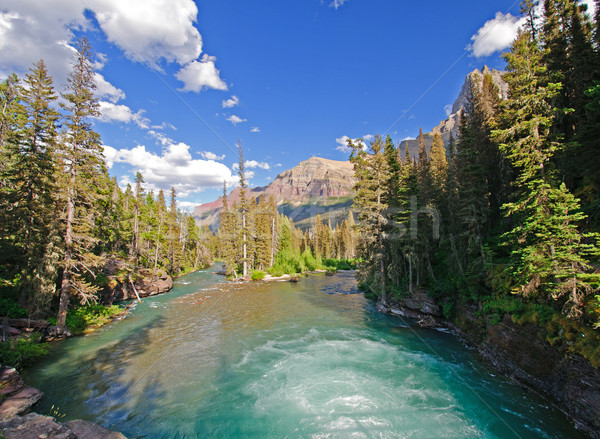 Mountain river in the Wilds Stock photo © wildnerdpix
