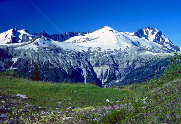 Alpine mountains and Glaciers in Summer Stock photo © wildnerdpix