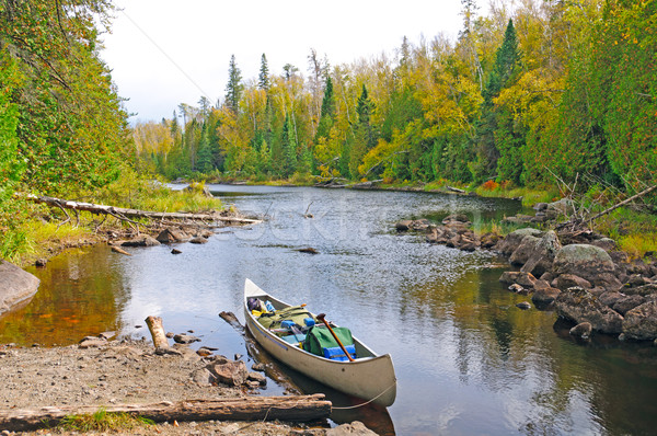 Fall Trip into the Wilderness Stock photo © wildnerdpix